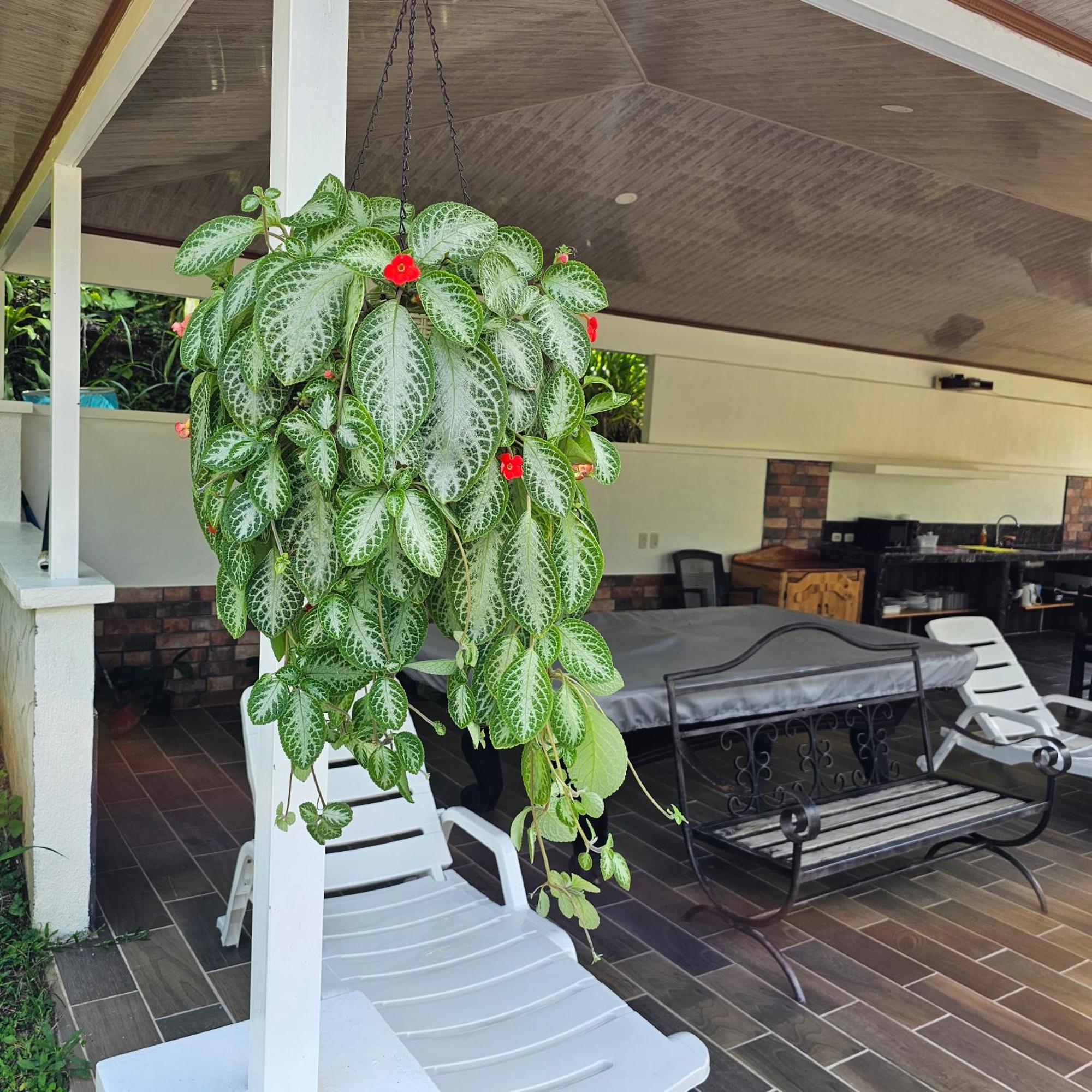 Villa Lumbres Arenal La Fortuna Esterno foto