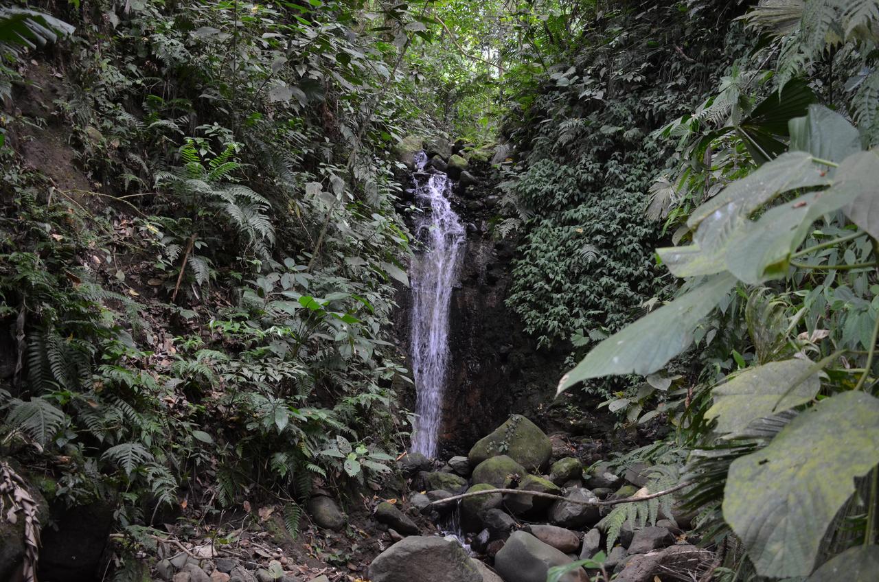 Villa Lumbres Arenal La Fortuna Esterno foto
