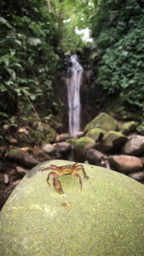 Villa Lumbres Arenal La Fortuna Esterno foto